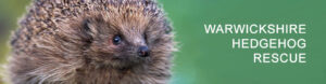 Warwickshire Hedgehog Rescue