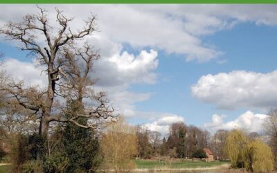 The History of Abbey Fields, Kenilworth