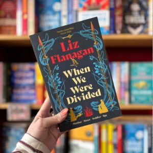 When We Were Divided by Liz Flanagan - APR 26