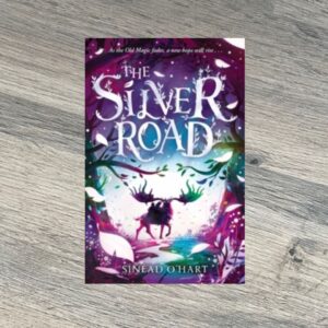 The Silver Road by Sinead O’Hart