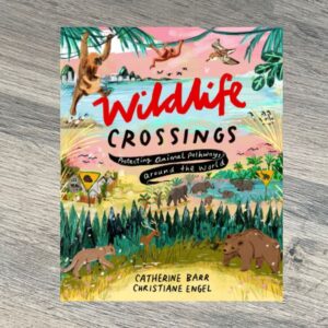 Wildlife Crossings : Protecting Animal Pathways Around the World by Catherine Barr